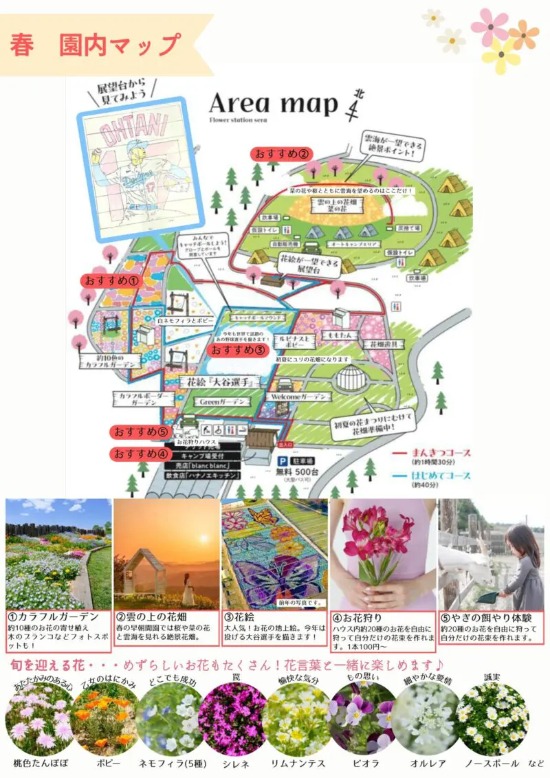 4月5日(土)～5月25日(日)】春の花まつり開催【花の駅せら】<イベント