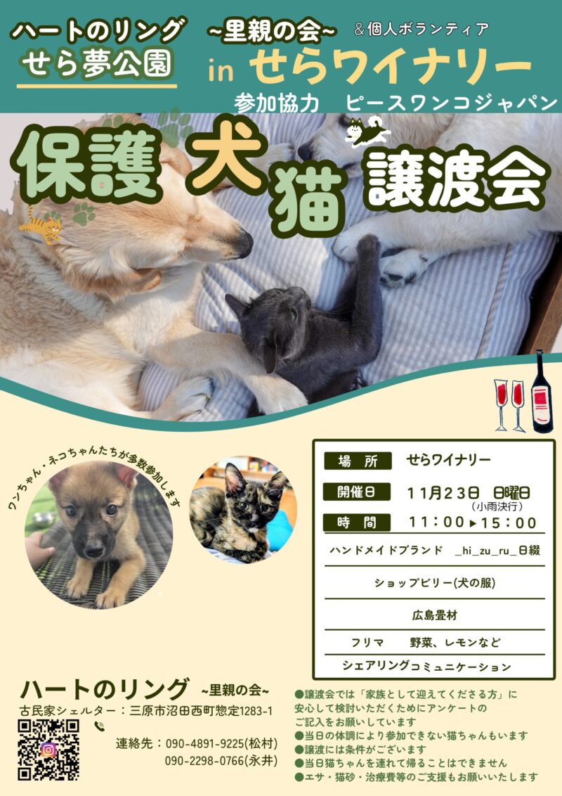 わんわん犬@値下げ交渉お気軽にどうぞ！ 専用ページ わんわん犬@値下げ